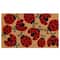 Ladybugs Doormat by Ashland®